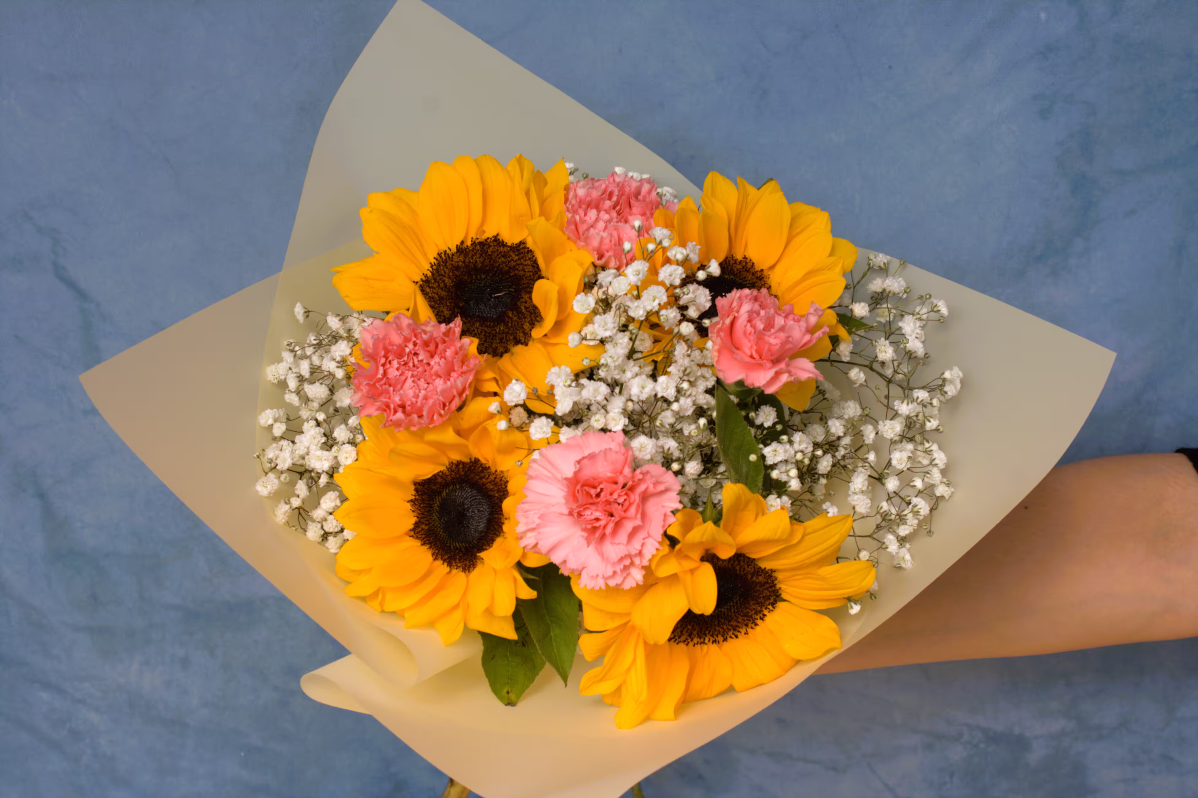 Girasoles graduados