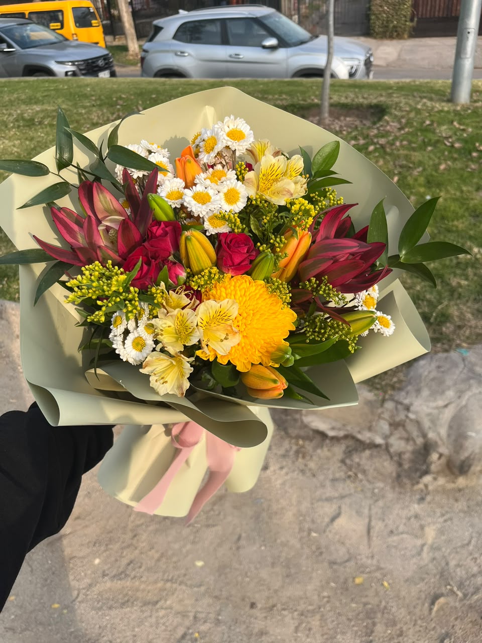Flores de la Toscana 6
