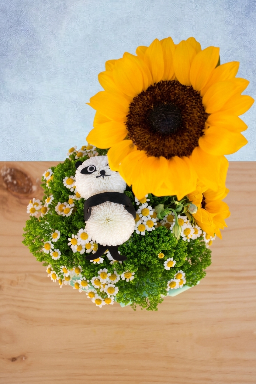Panda bajo el Sol 4