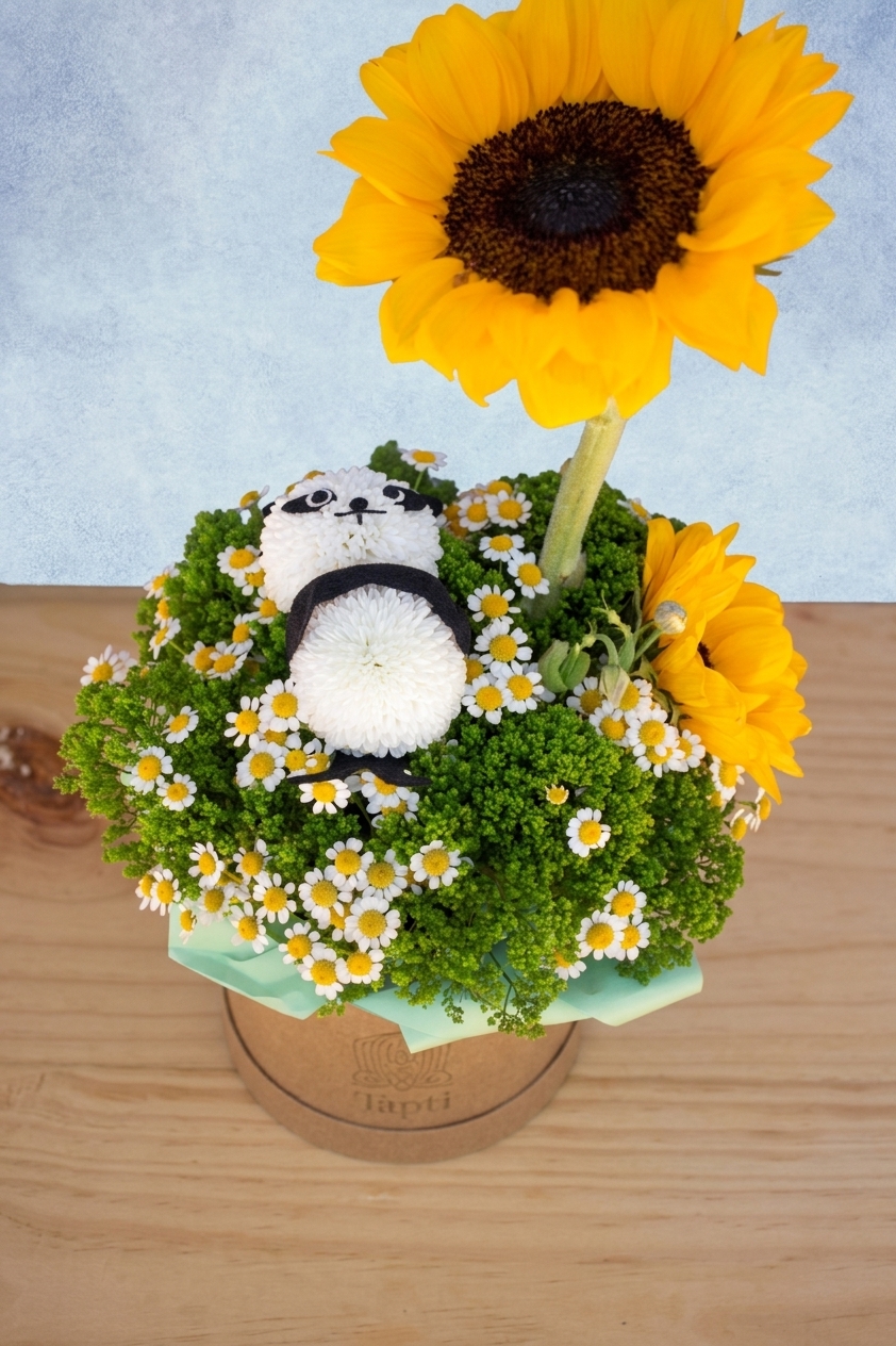 Panda bajo el Sol 5