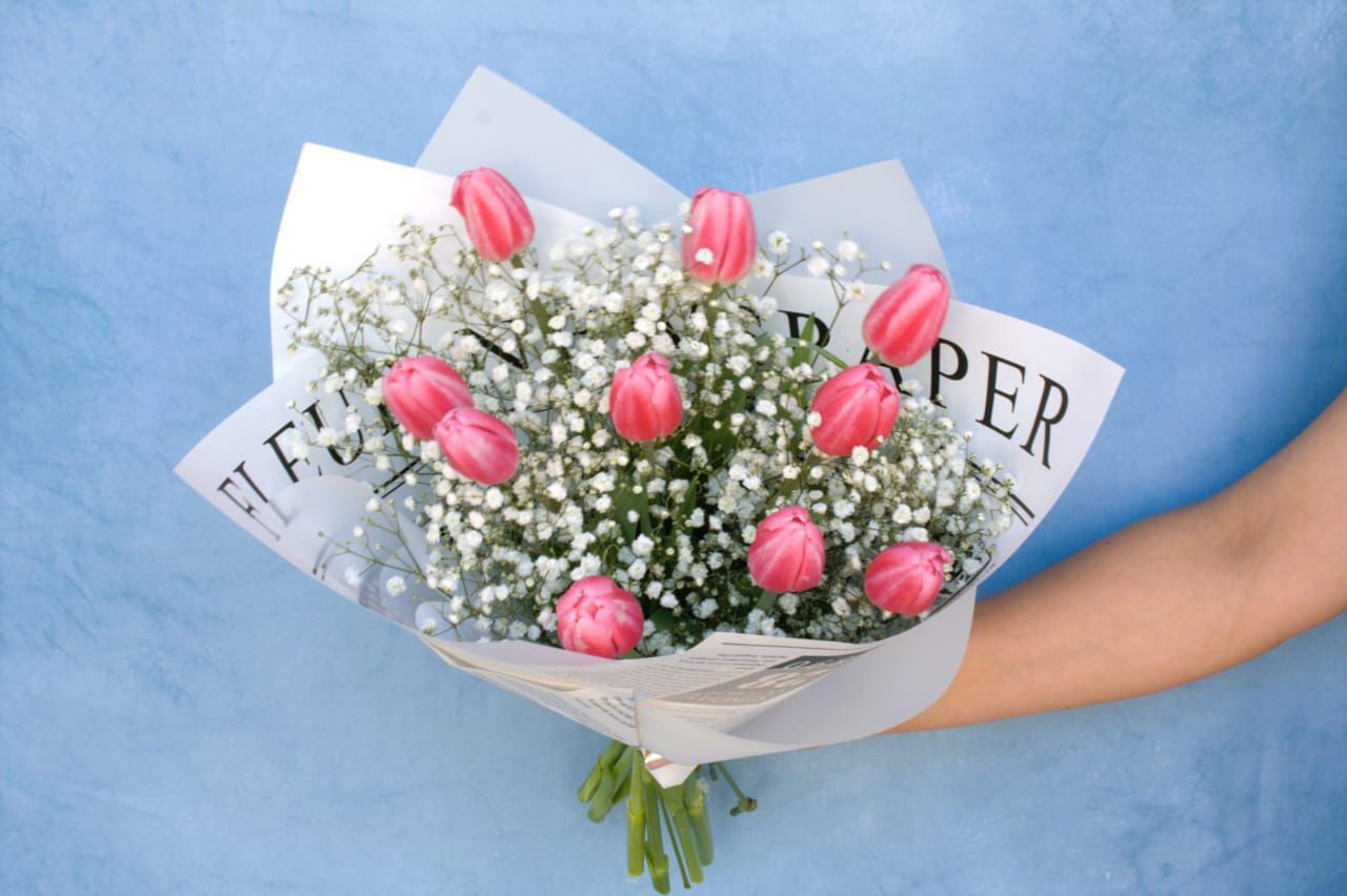 Tulipan